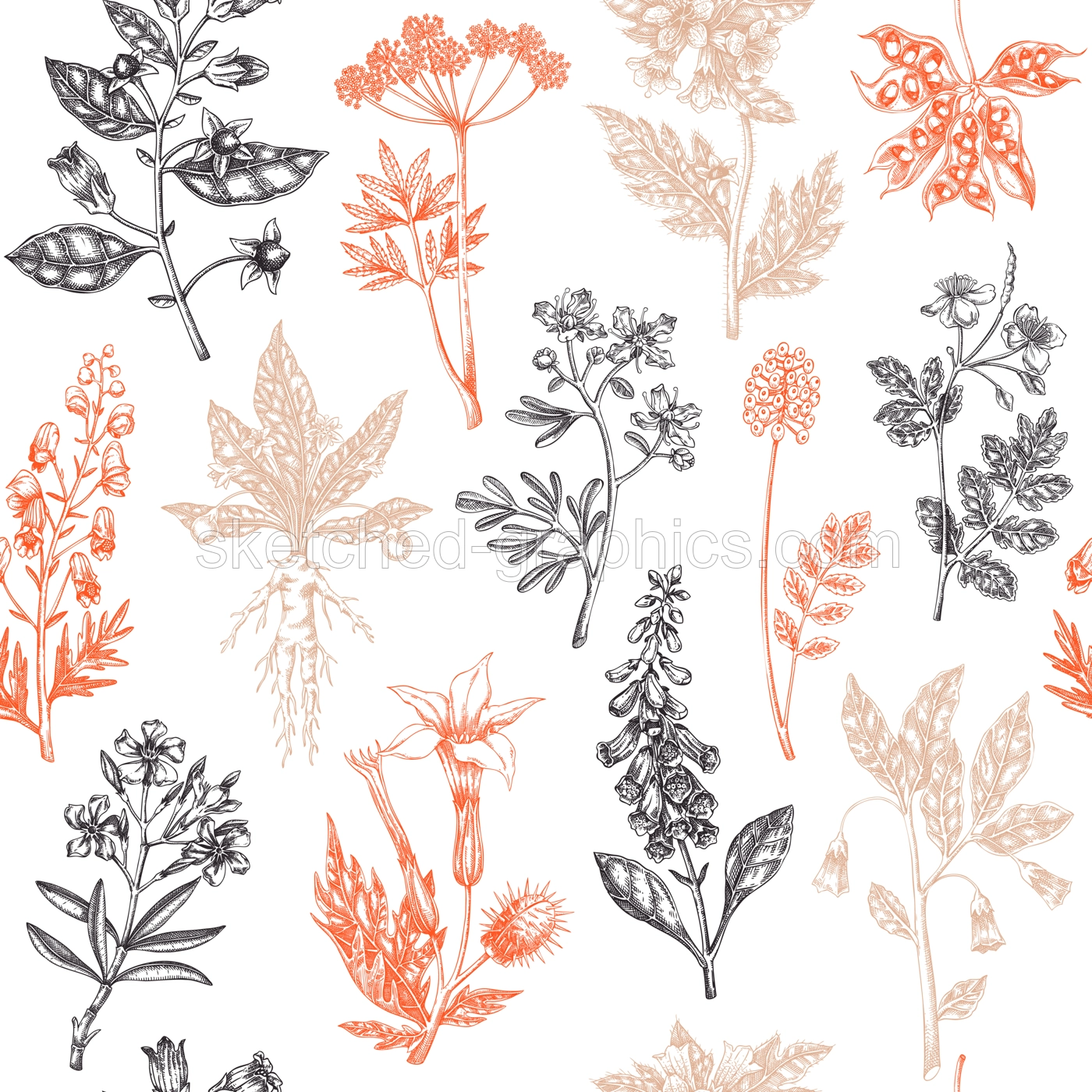 Witch herbs seamless pattern. Bohemian background. Poisonous plants and flowers design. NOT AI generated Illustration